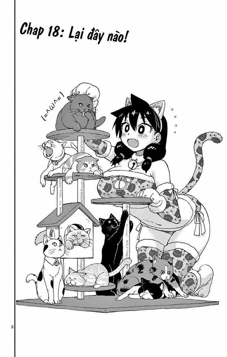 Amano Megumi Wa Suki Darake! 18 trang 0