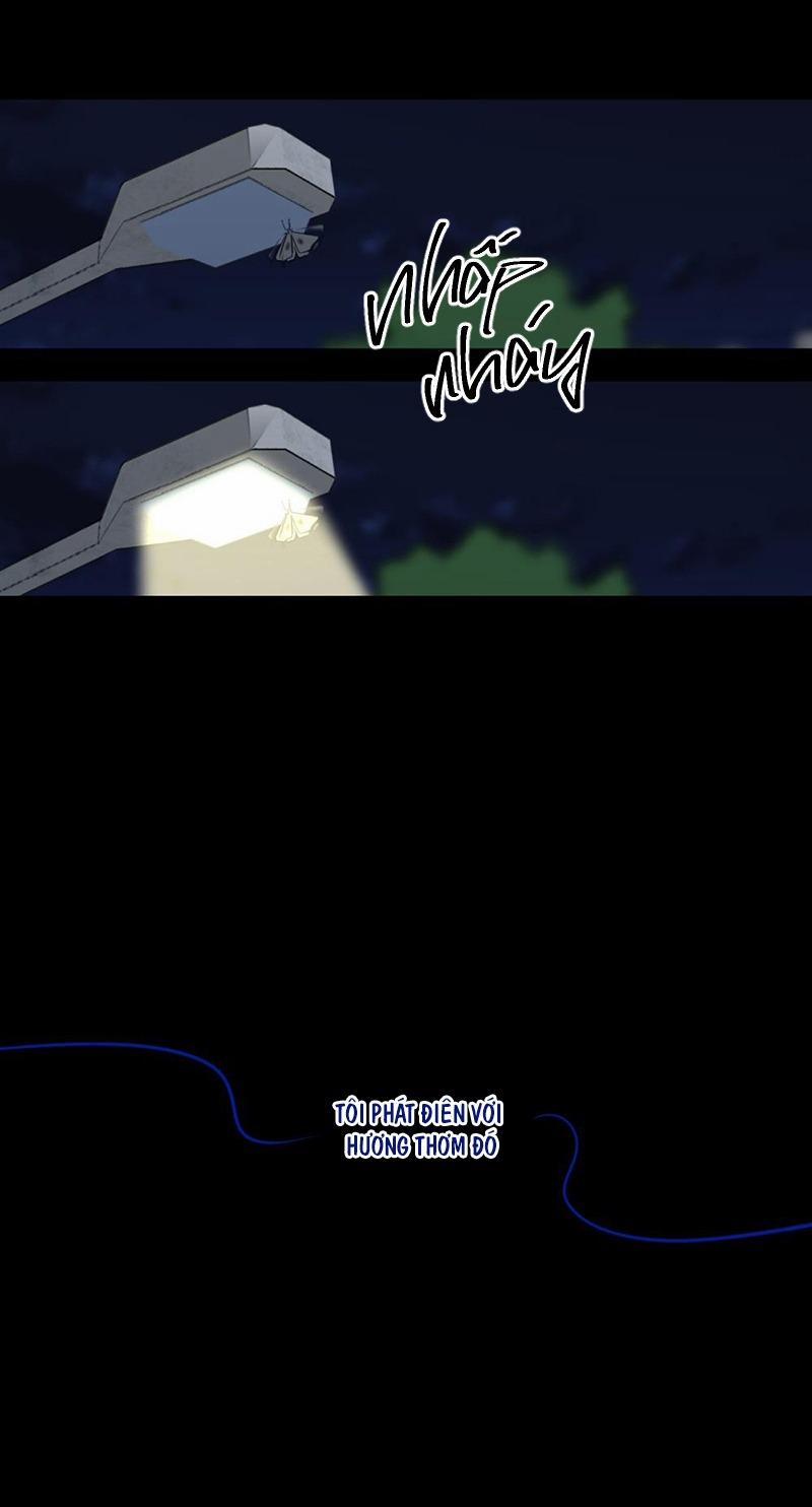 ẨN GIẤU 1 trang 23