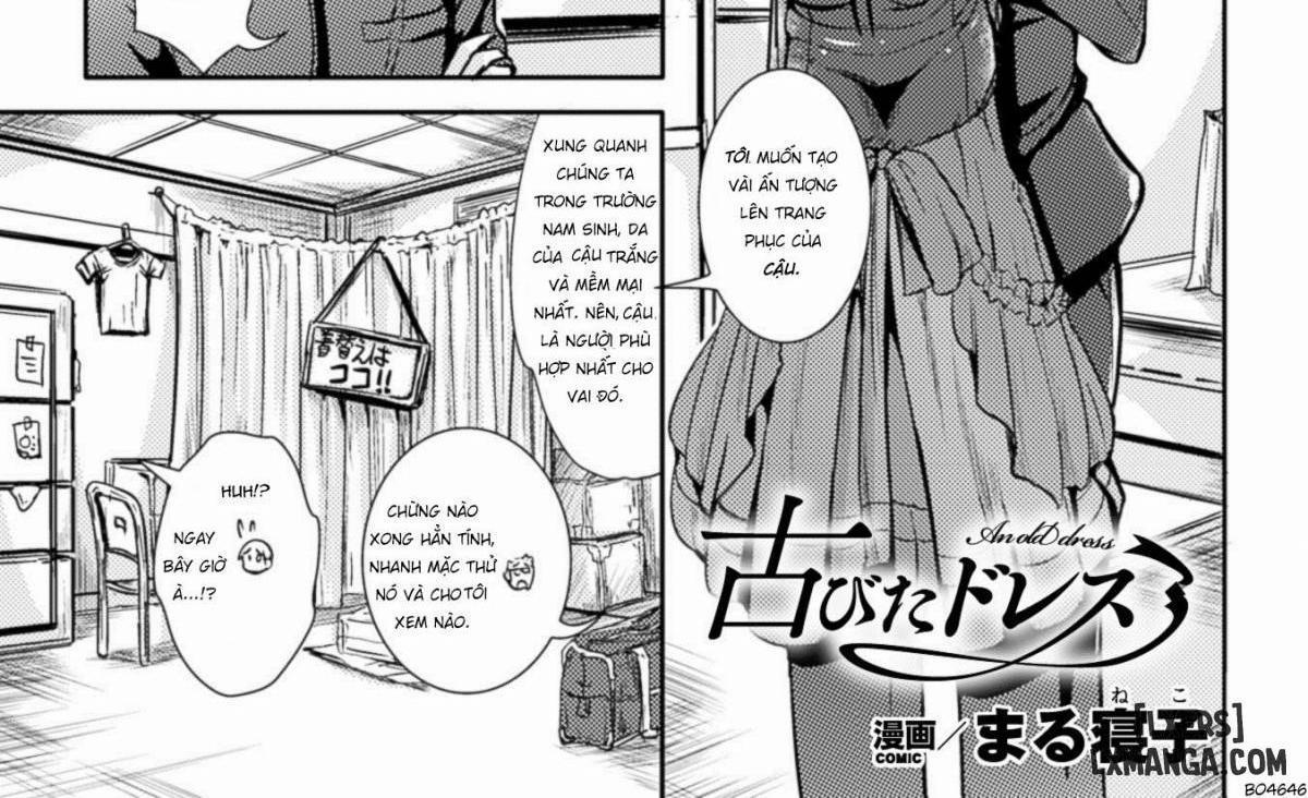 An Old Dress 1 trang 0