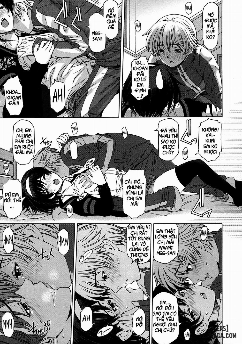 Ane wa Shota wo Sukininaru 1 trang 12