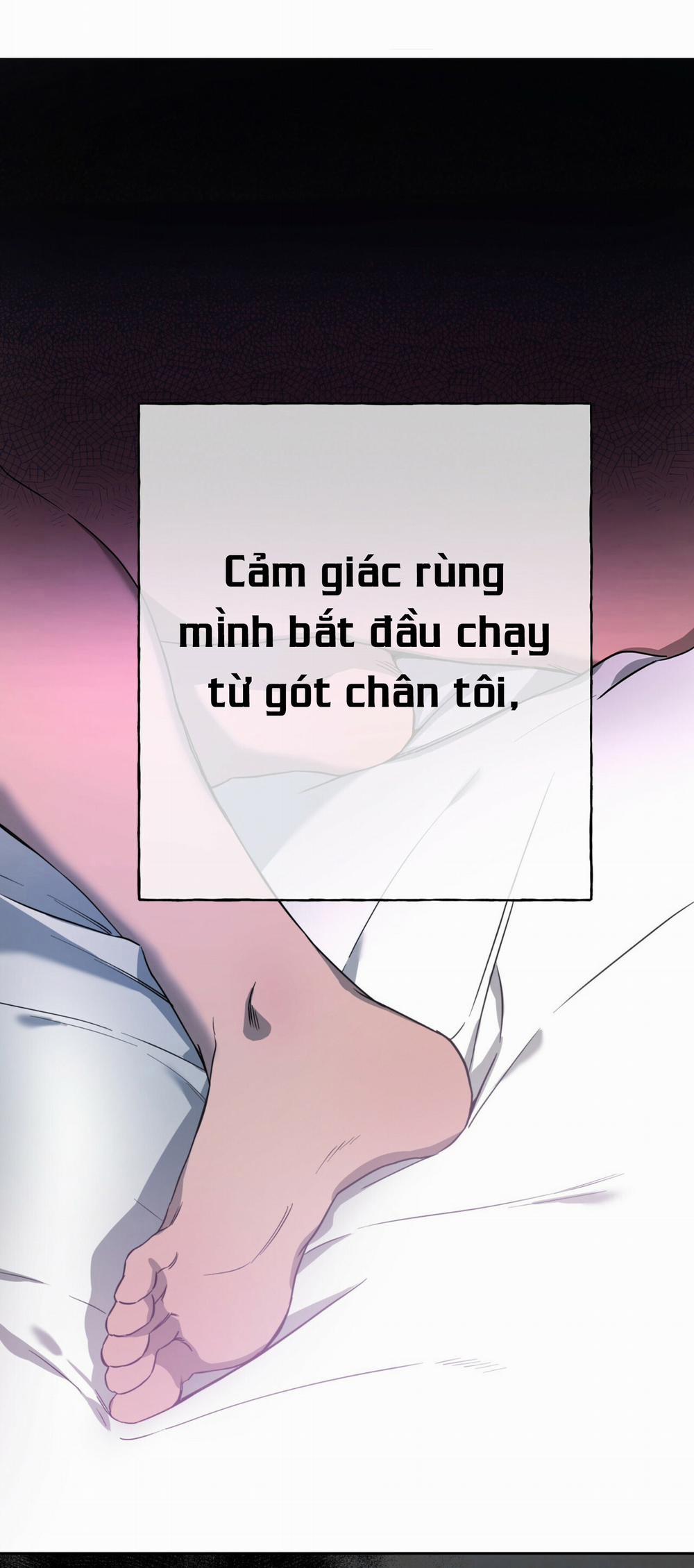 Ang Ang 13 trang 0