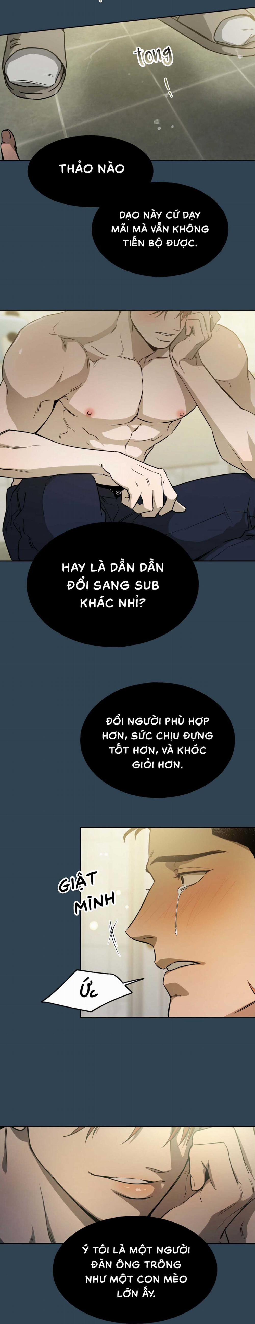 Ang Ang 21 trang 1