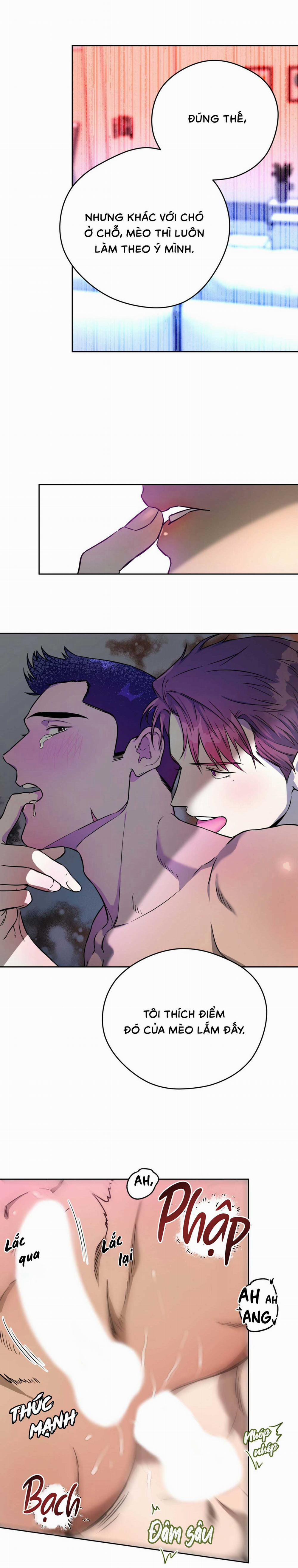 Ang Ang 22 trang 6