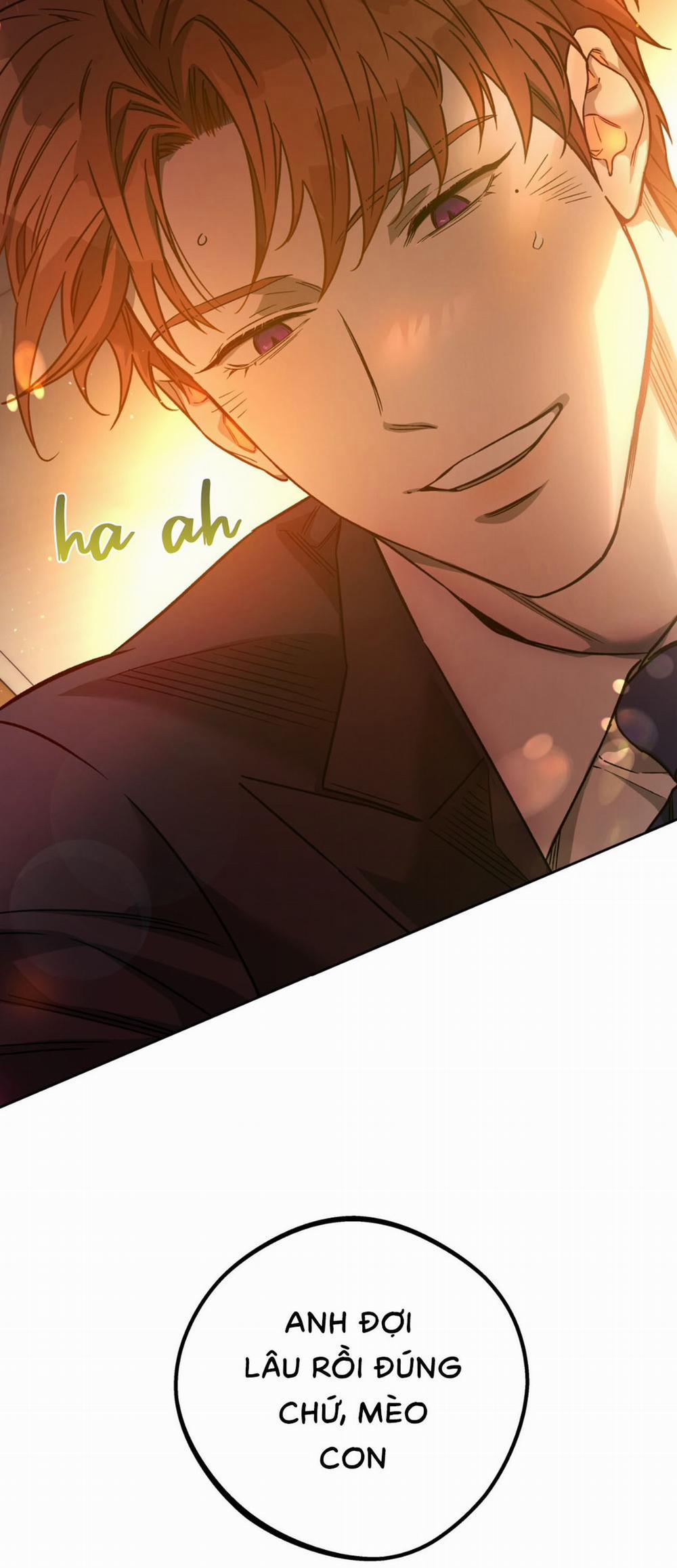 Ang Ang 77 trang 13