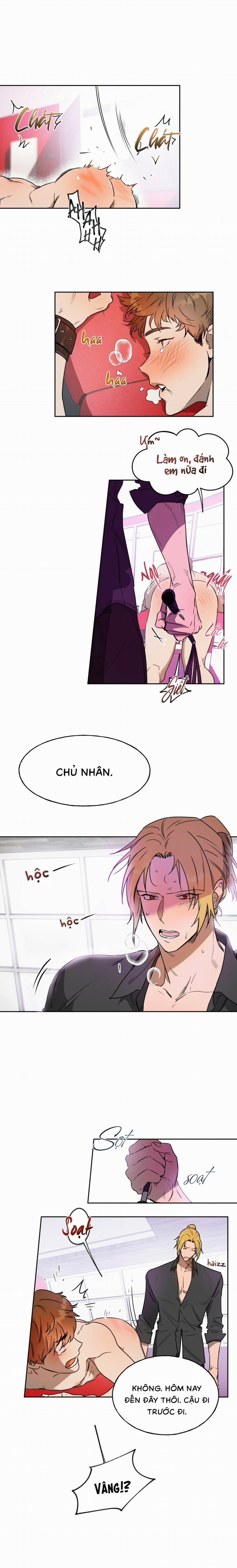Ang Ang 9 trang 0