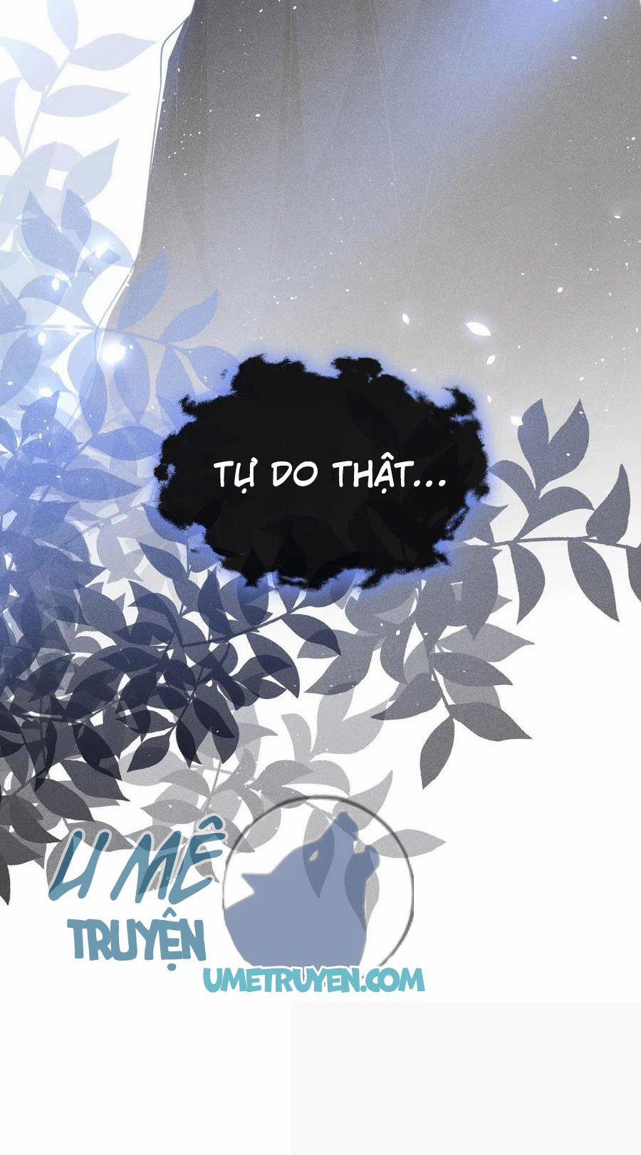 Anh Ấy Nói Tôi Là Hắc Liên Hoa 73 trang 31
