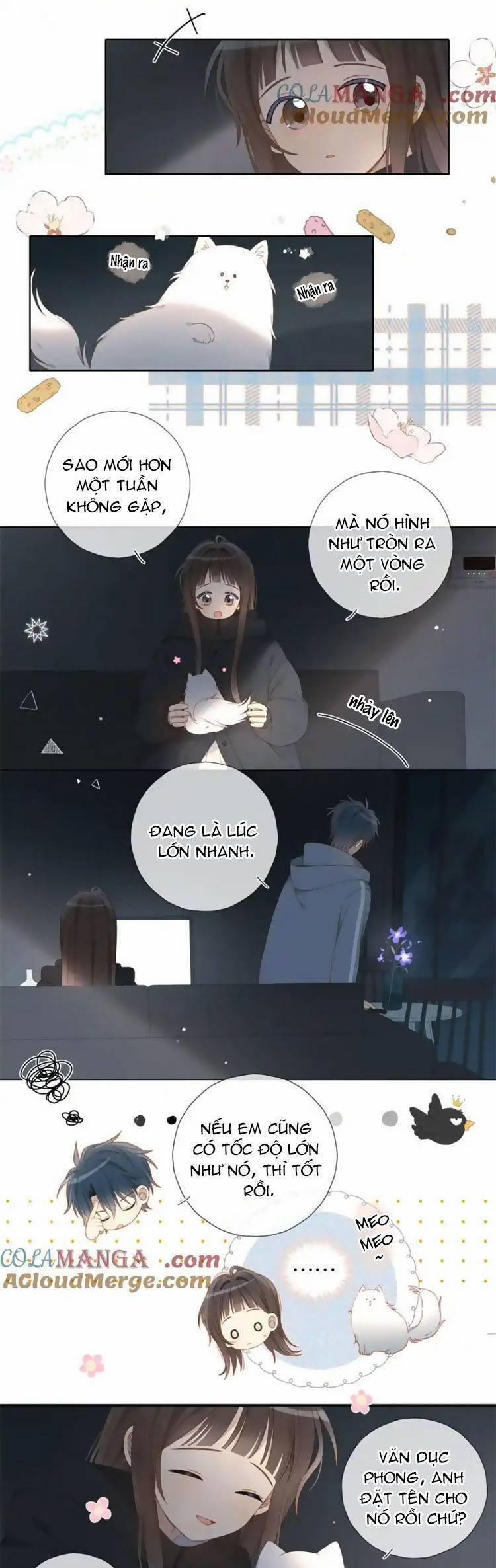 Anh Ấy Rất Hay Trêu Chọc Tôi 81 trang 12