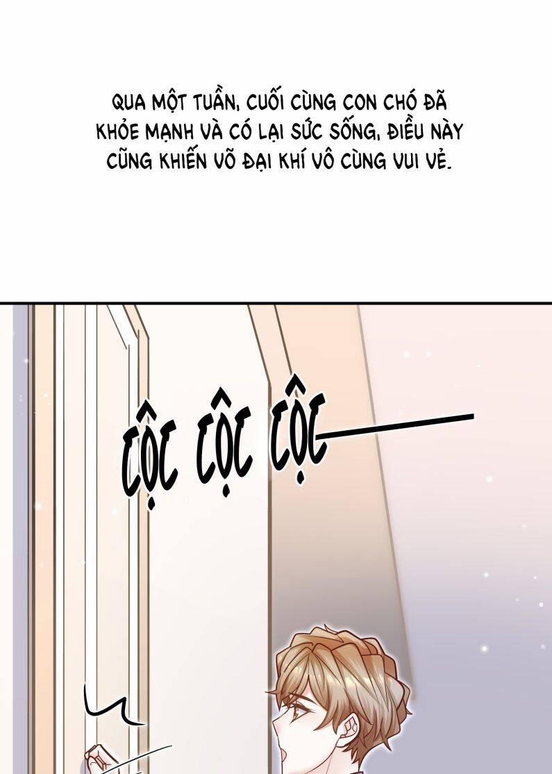 Anh Ấy Sinh Ra Đã Là Công Của Tôi 75 trang 11