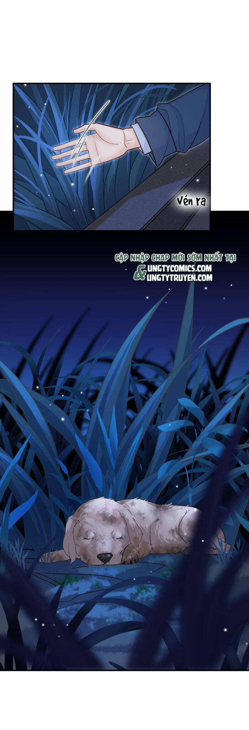 Anh Ấy Sinh Ra Đã Là Công Của Tôi 75 trang 3