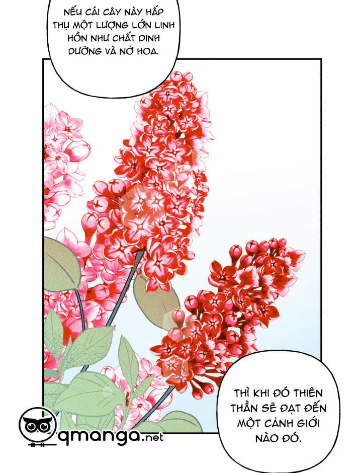 Anh Bạn Thiên Thần 47 trang 17