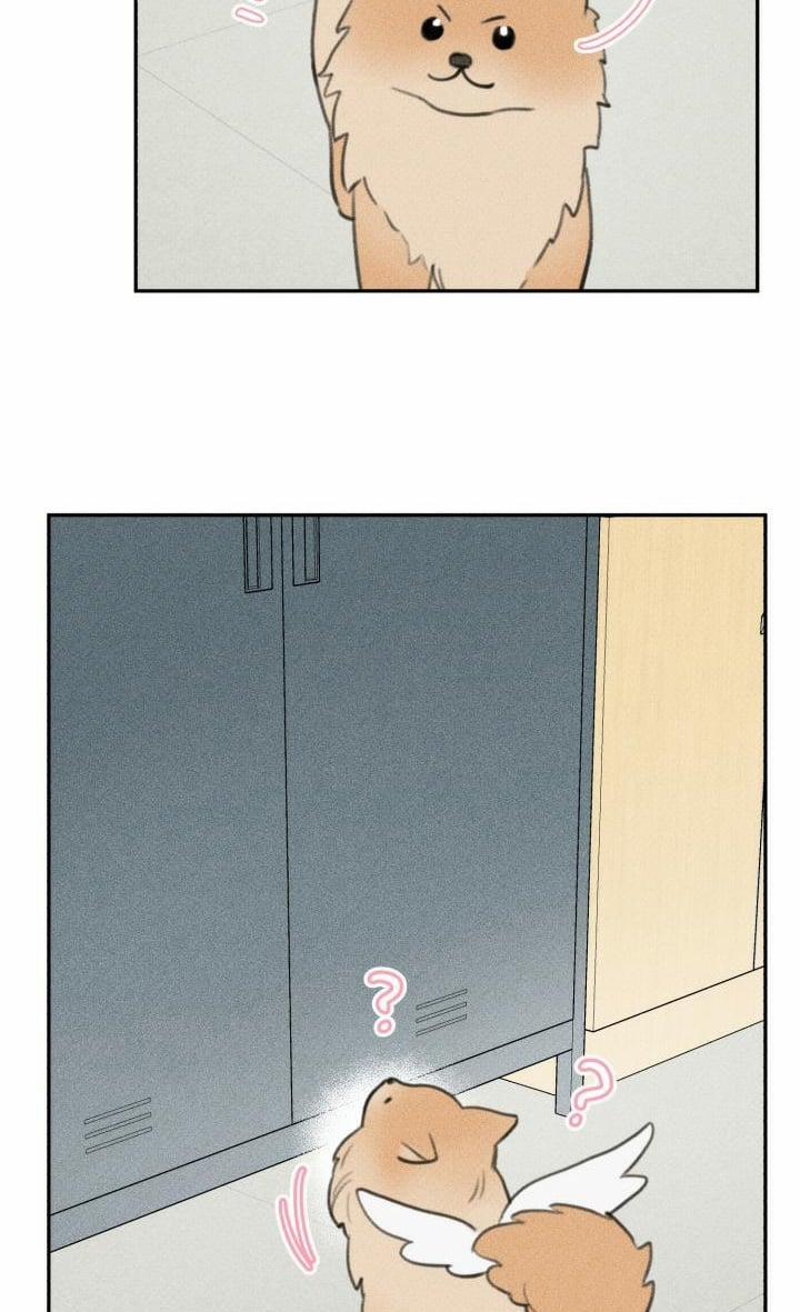 Anh Bạn Thiên Thần 63 trang 52