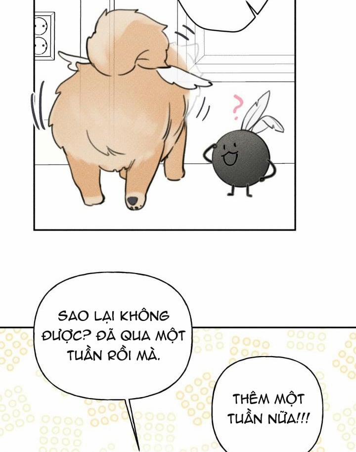 Anh Bạn Thiên Thần 65 trang 45