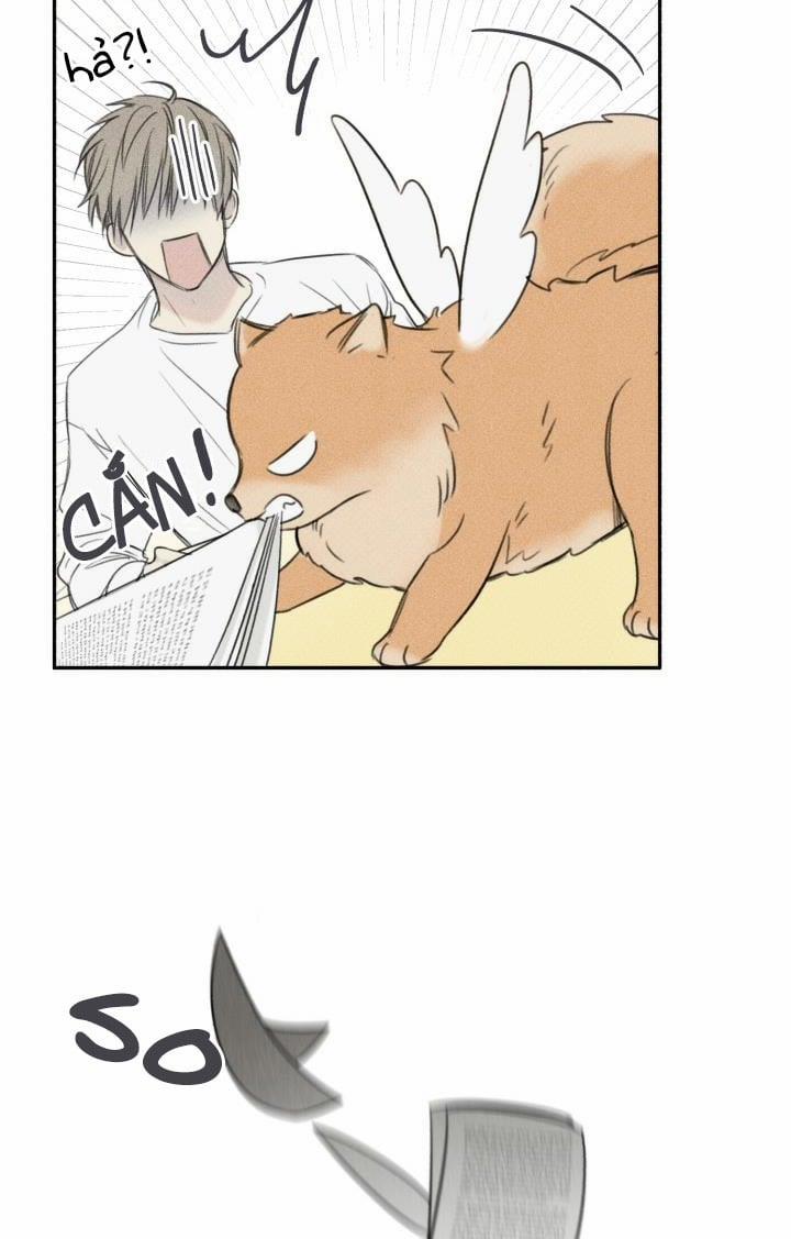 Anh Bạn Thiên Thần 67 trang 19