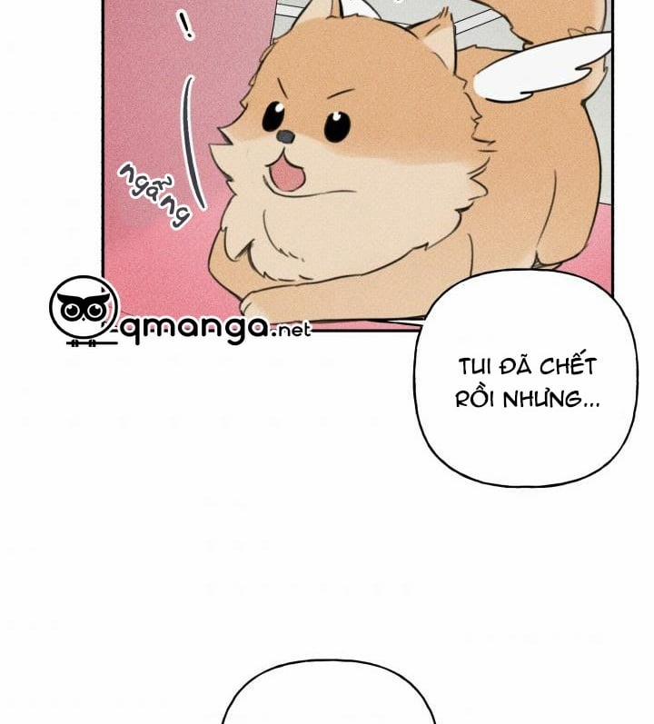 Anh Bạn Thiên Thần 67 trang 7