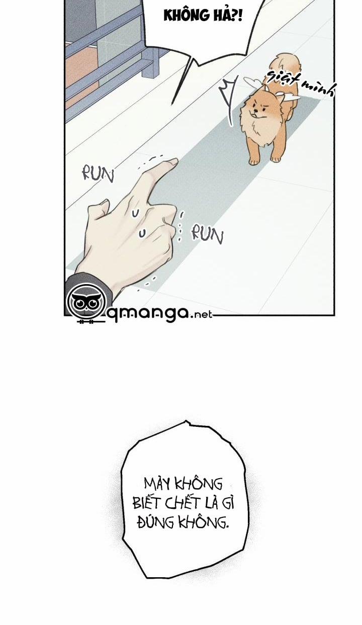 Anh Bạn Thiên Thần 68 trang 36