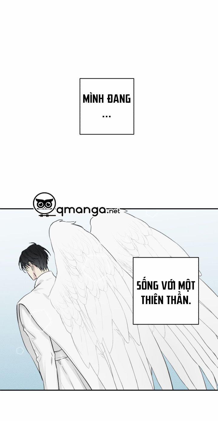 Anh Bạn Thiên Thần 8 trang 0