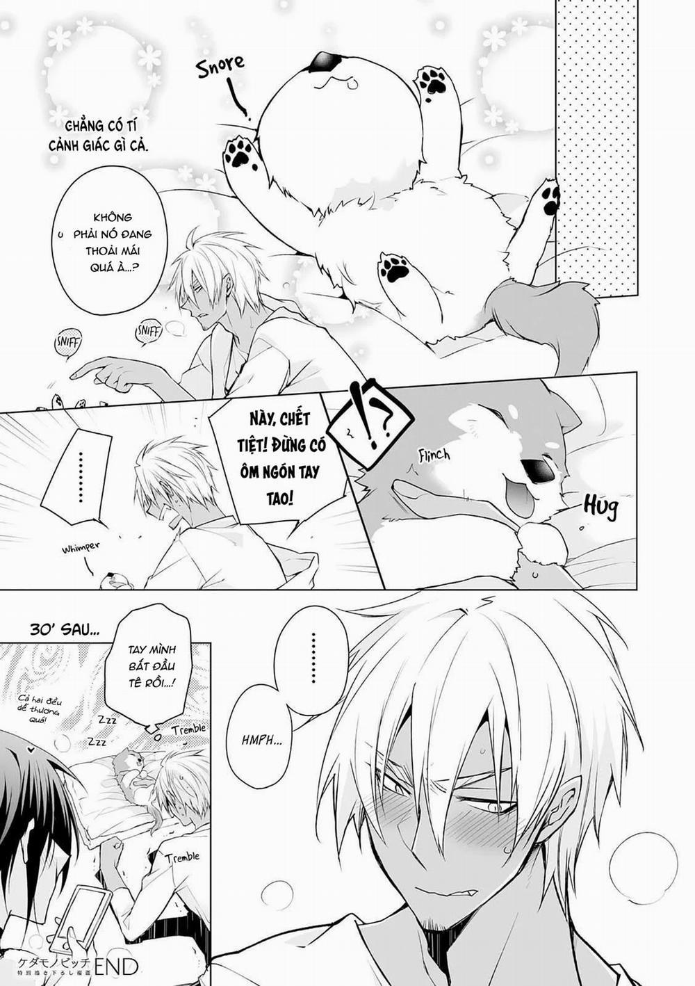 Anh Chàng Người Sói Và Tiểu Thuyết Gia Lập Dị 7 trang 14