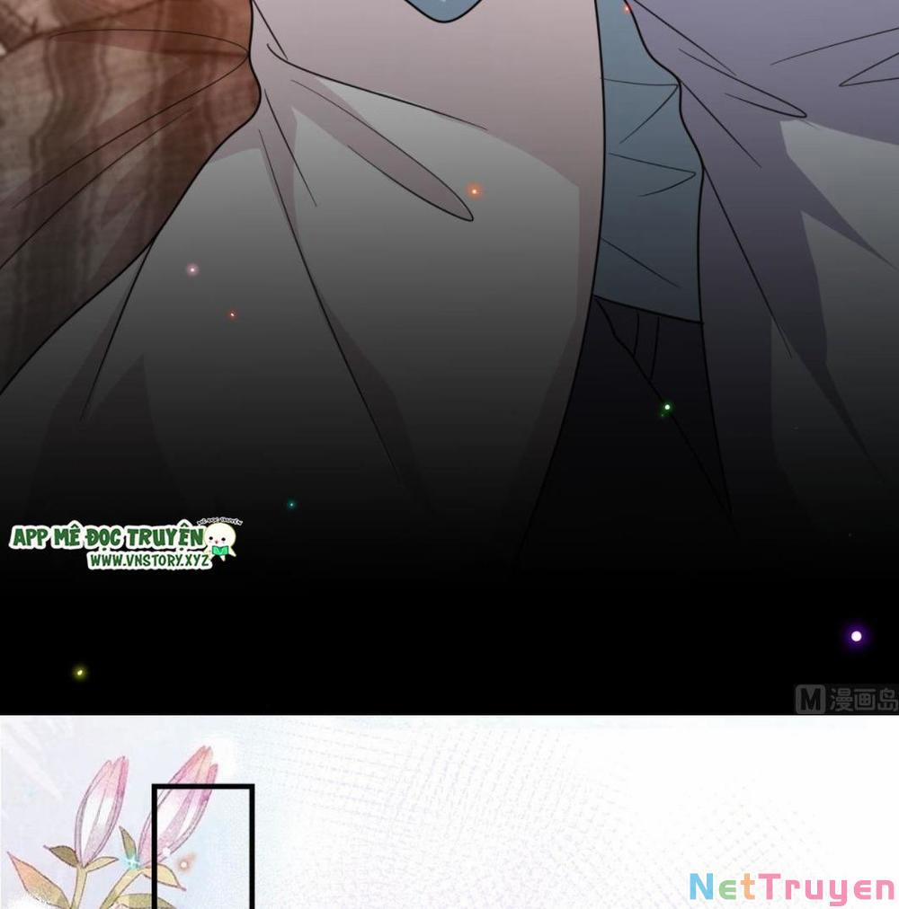 Ảnh Đế Làm Loạn Đòi Ly Hôn 0 Đạo diễm Lâm tỏ tình rồi trang 45