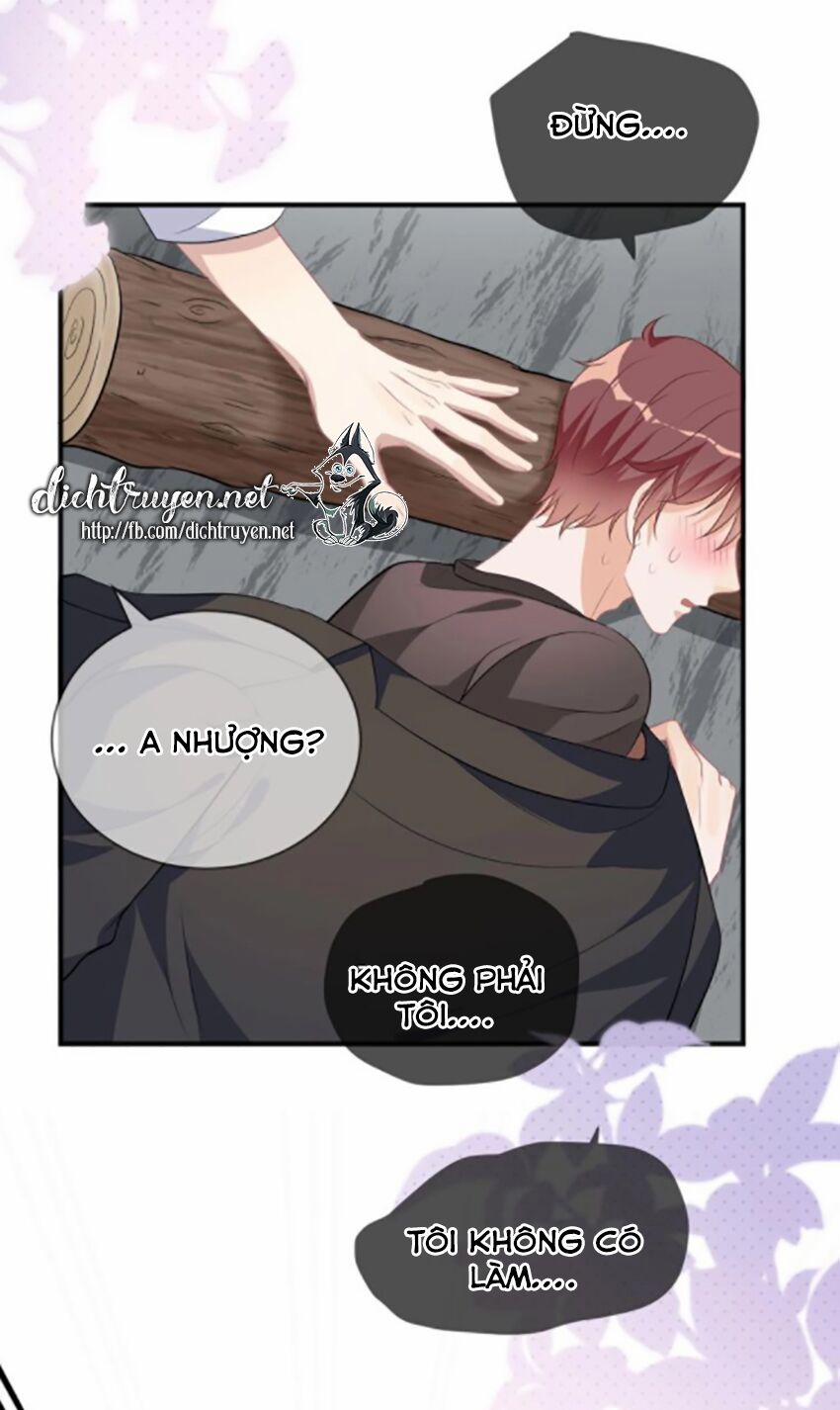 Ảnh Đế Làm Loạn Đòi Ly Hôn 17 trang 5