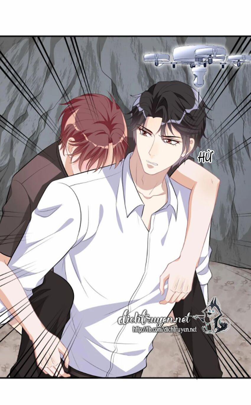 Ảnh Đế Làm Loạn Đòi Ly Hôn 17 trang 8