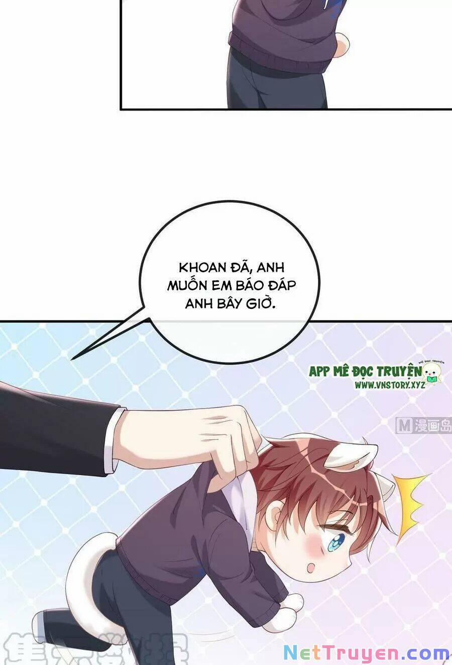 Ảnh Đế Làm Loạn Đòi Ly Hôn 52 trang 5