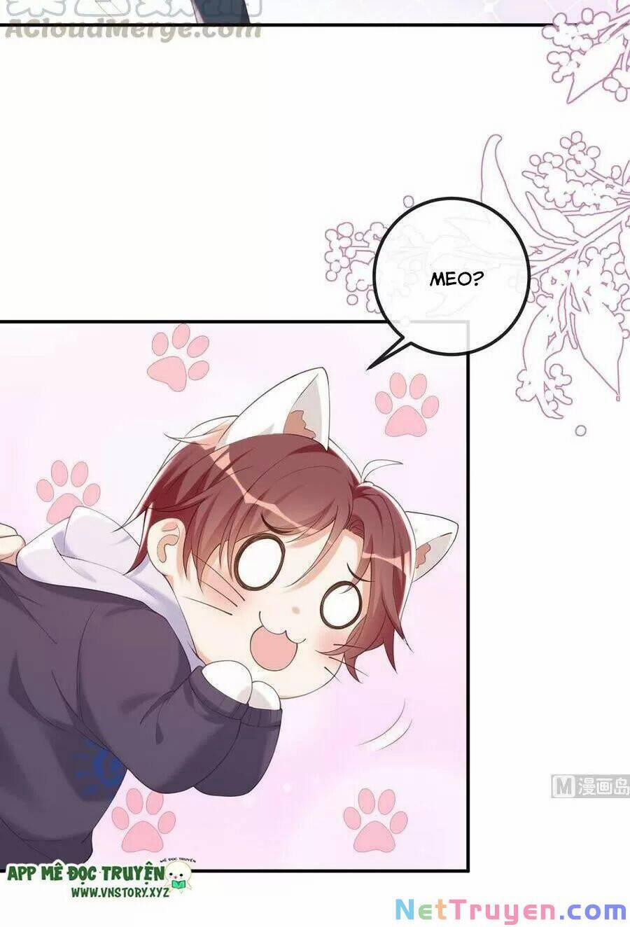 Ảnh Đế Làm Loạn Đòi Ly Hôn 52 trang 6