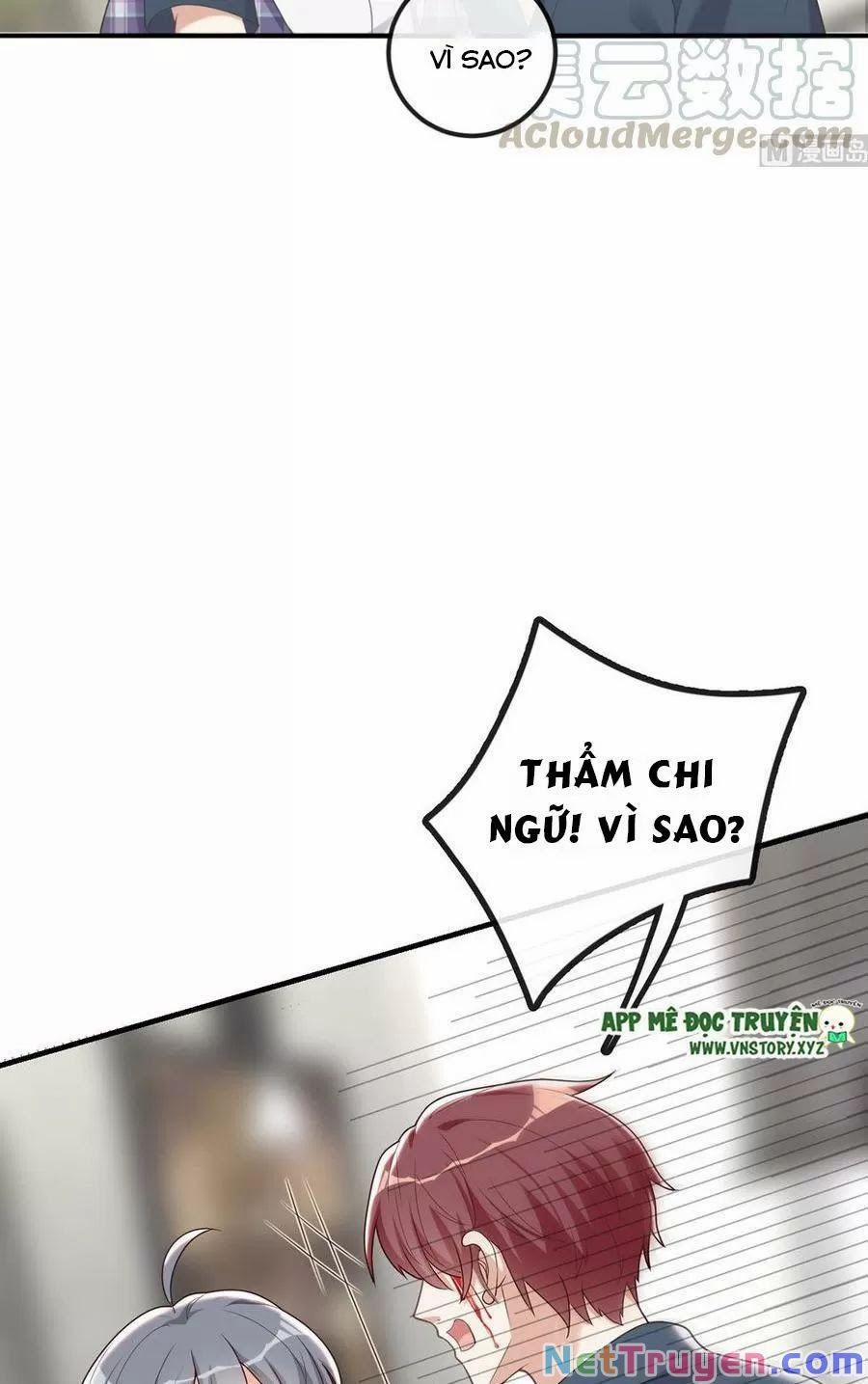 Ảnh Đế Làm Loạn Đòi Ly Hôn 58 trang 5