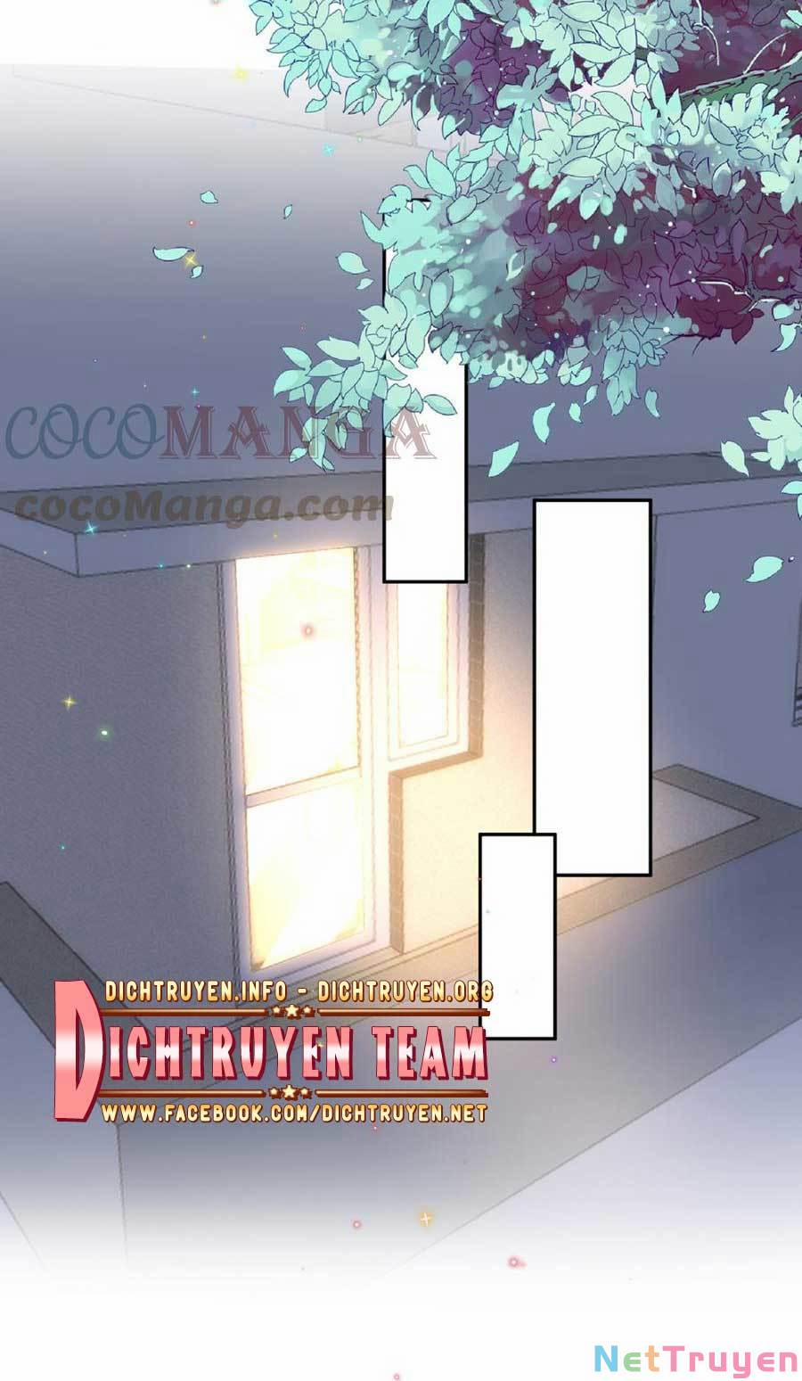 Ảnh Đế Làm Loạn Đòi Ly Hôn 66 trang 23