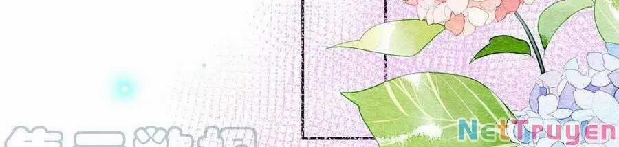 Ảnh Đế Làm Loạn Đòi Ly Hôn 69 trang 11