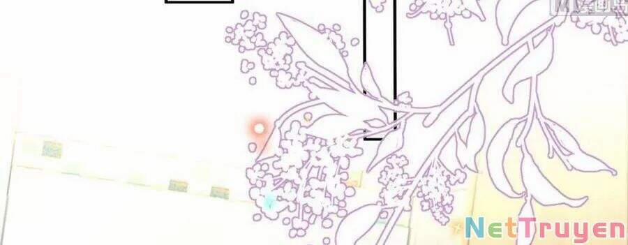 Ảnh Đế Làm Loạn Đòi Ly Hôn 69 trang 17