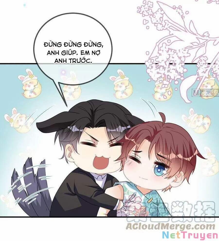 Ảnh Đế Làm Loạn Đòi Ly Hôn 69 trang 4