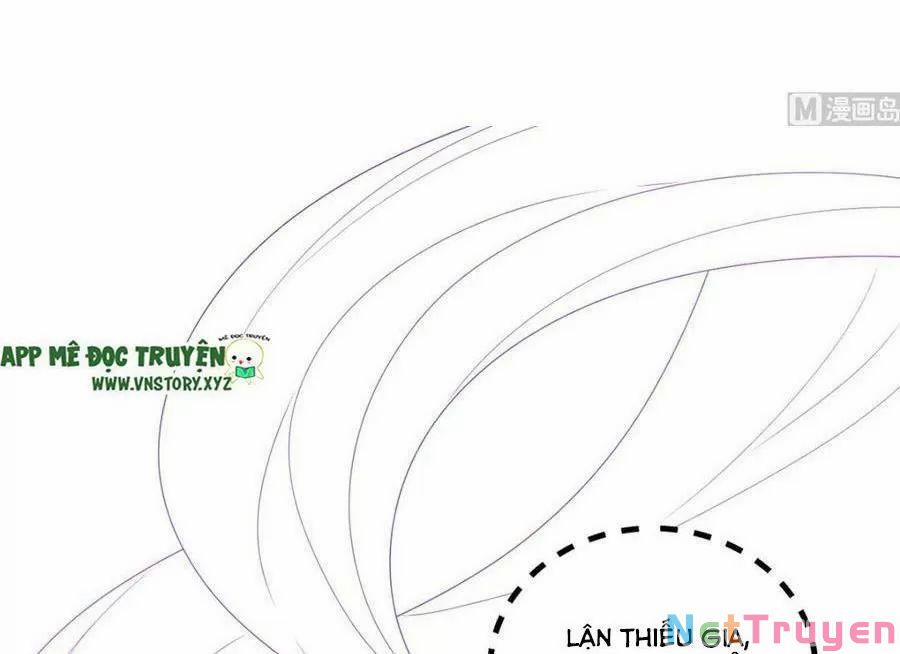 Ảnh Đế Làm Loạn Đòi Ly Hôn 70 trang 3