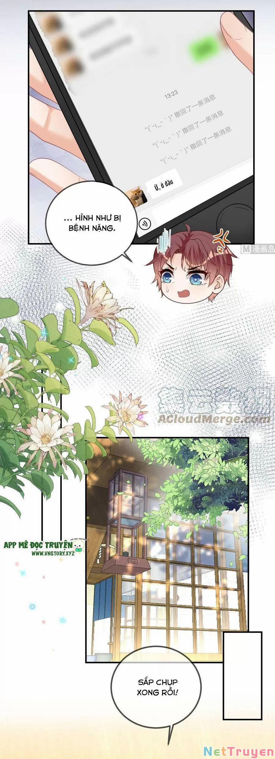 Ảnh Đế Làm Loạn Đòi Ly Hôn 73 trang 12