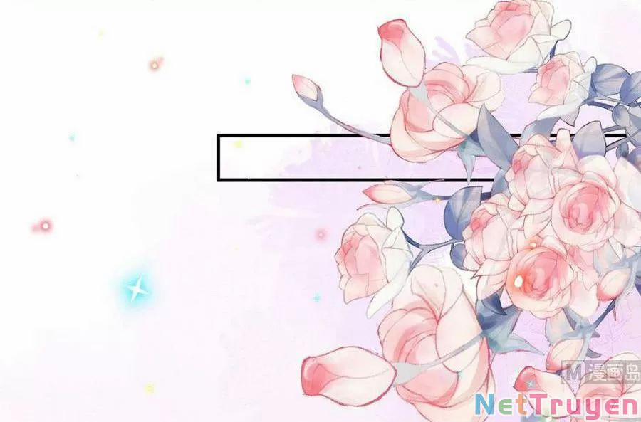 Ảnh Đế Làm Loạn Đòi Ly Hôn 73 trang 29