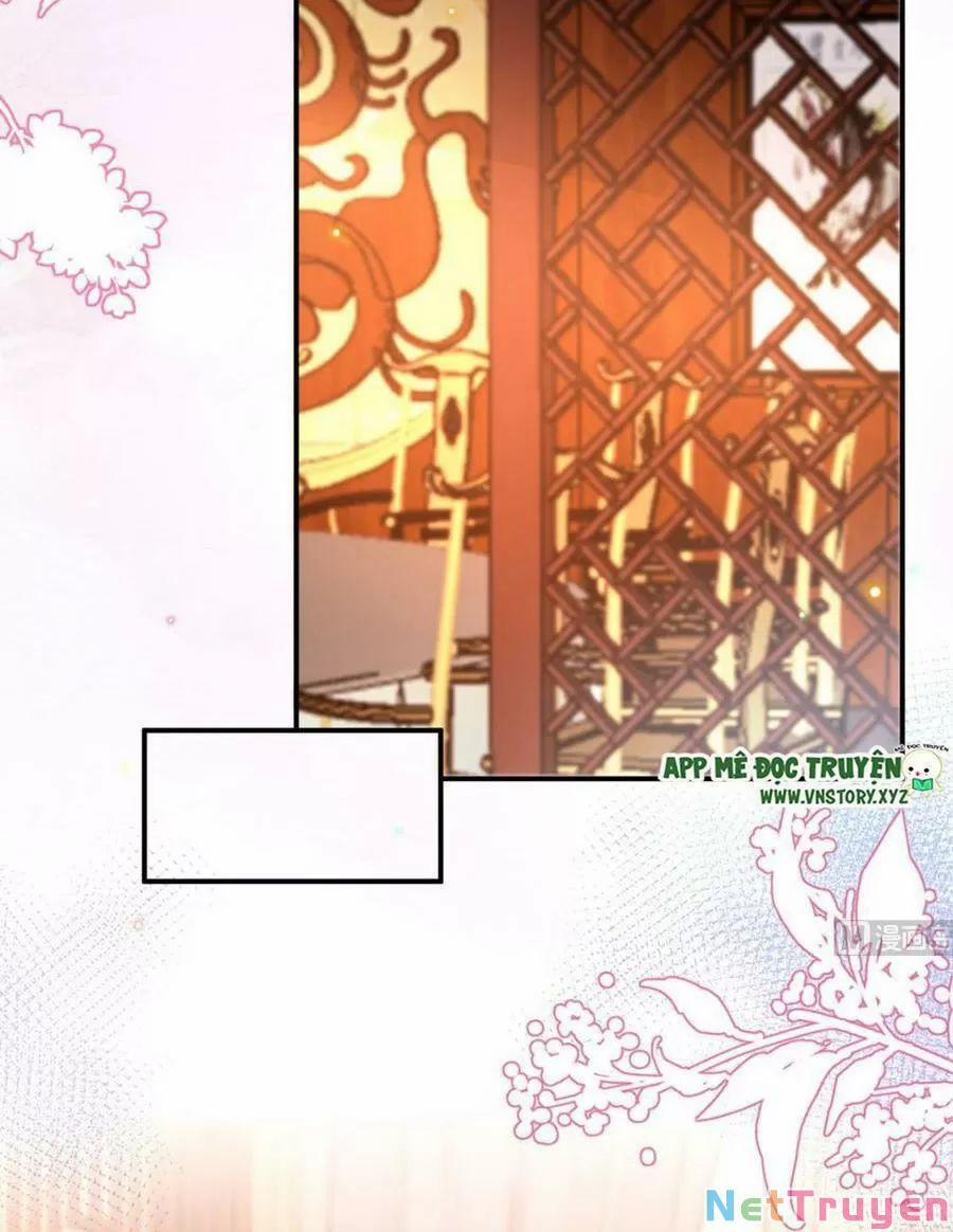 Ảnh Đế Làm Loạn Đòi Ly Hôn 74 trang 13