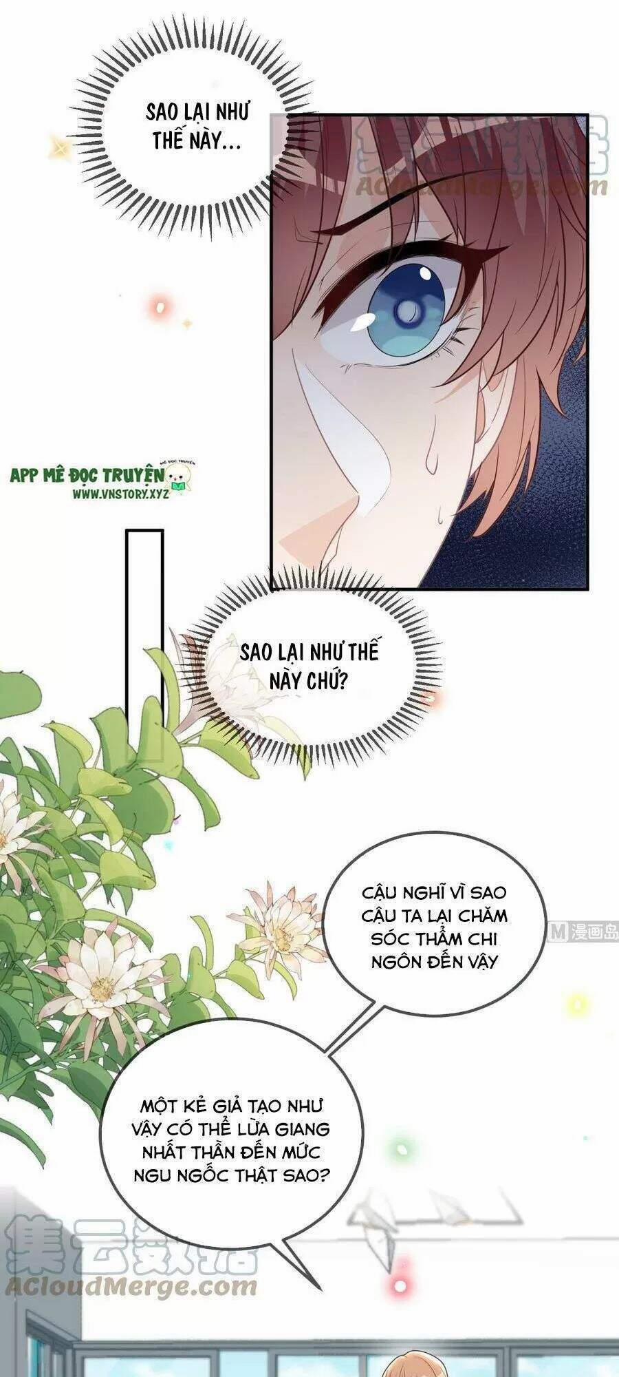 Ảnh Đế Làm Loạn Đòi Ly Hôn 77 trang 6