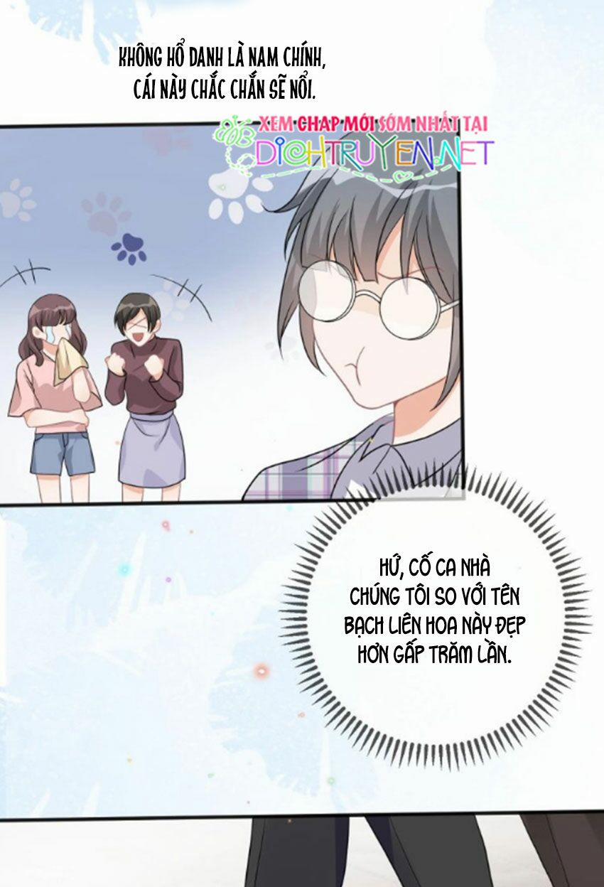 Ảnh Đế Làm Loạn Đòi Ly Hôn 8 trang 5