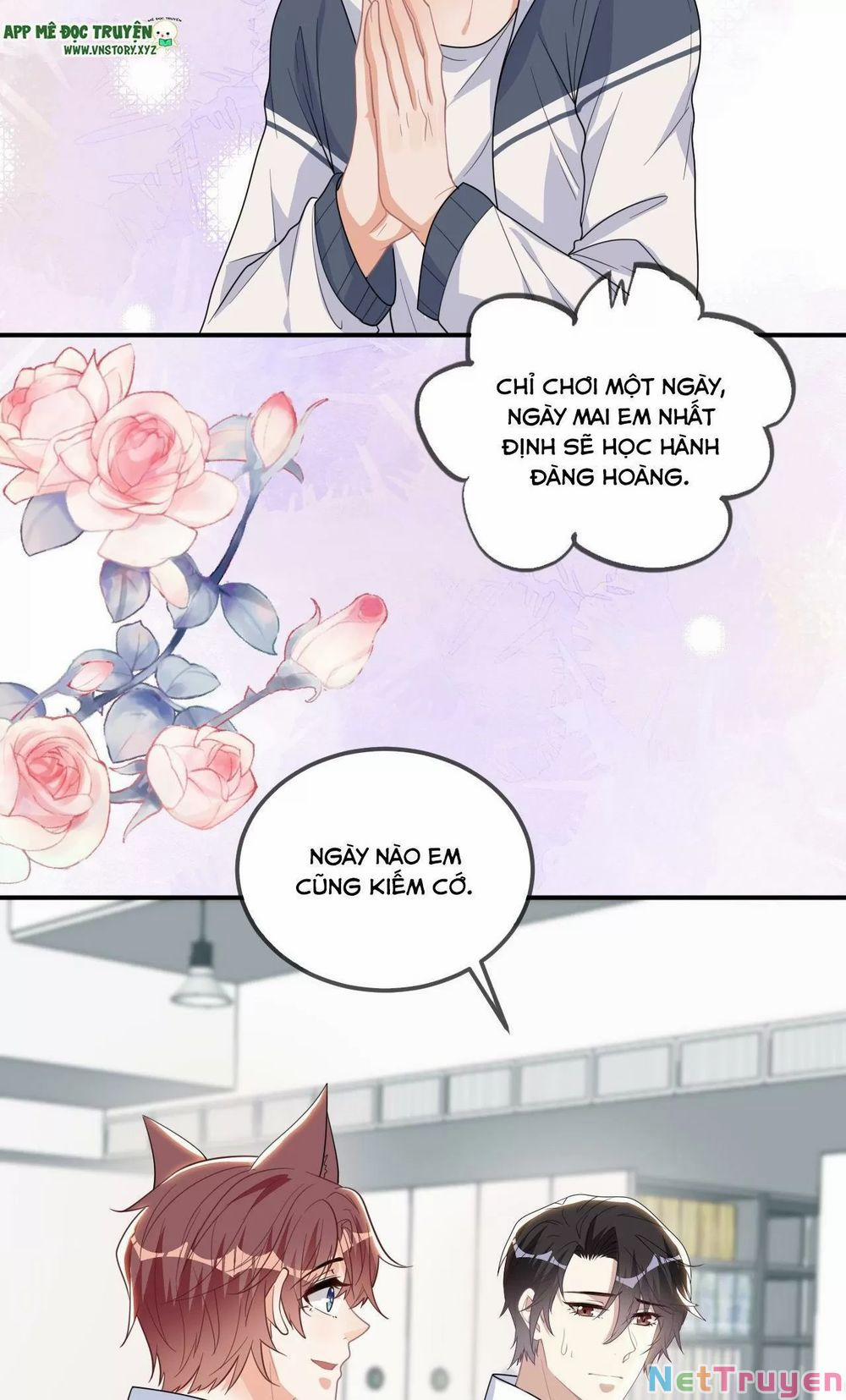 Ảnh Đế Làm Loạn Đòi Ly Hôn 82.5 trang 11