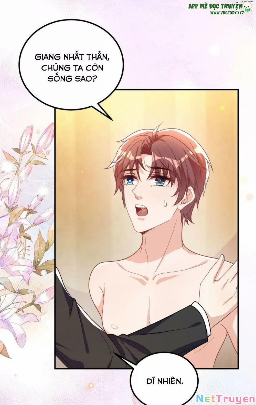 Ảnh Đế Làm Loạn Đòi Ly Hôn 85 trang 12