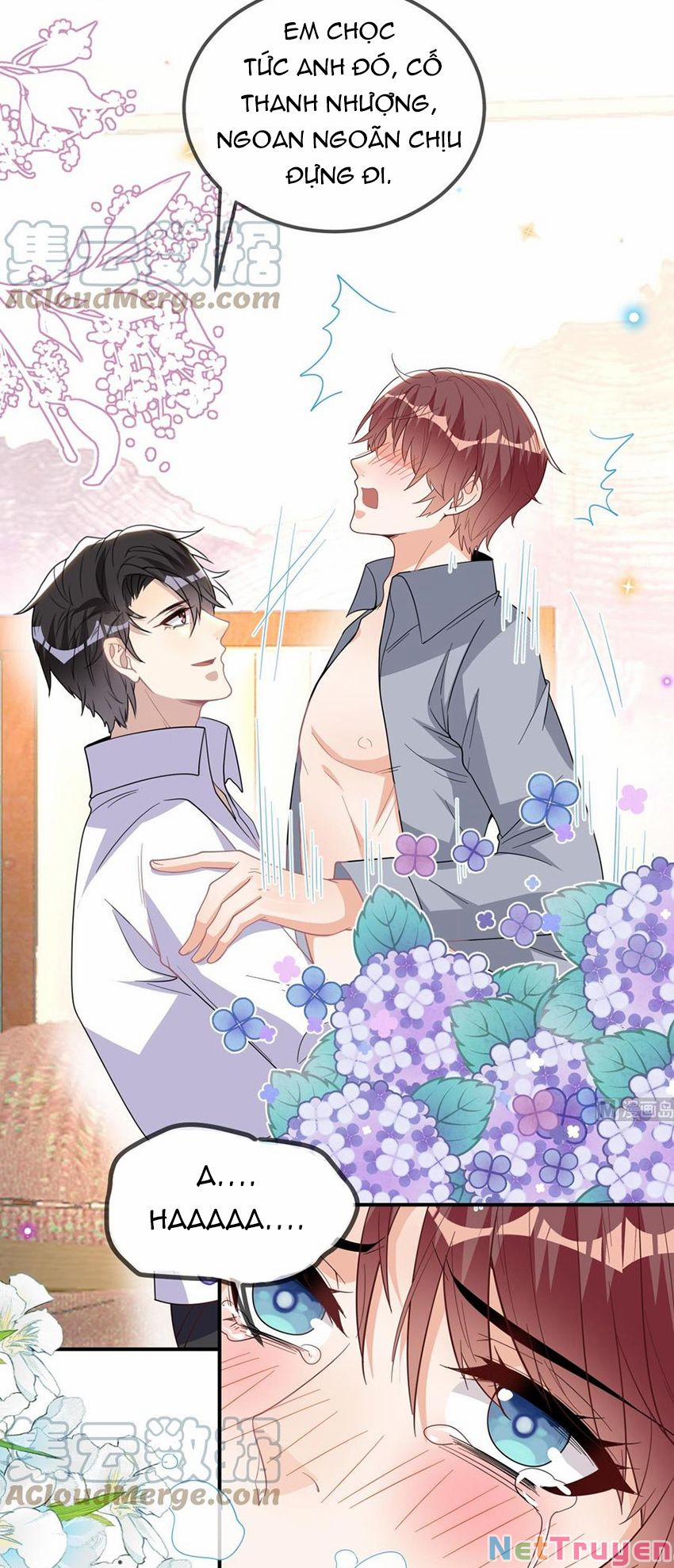 Ảnh Đế Làm Loạn Đòi Ly Hôn 95 trang 6