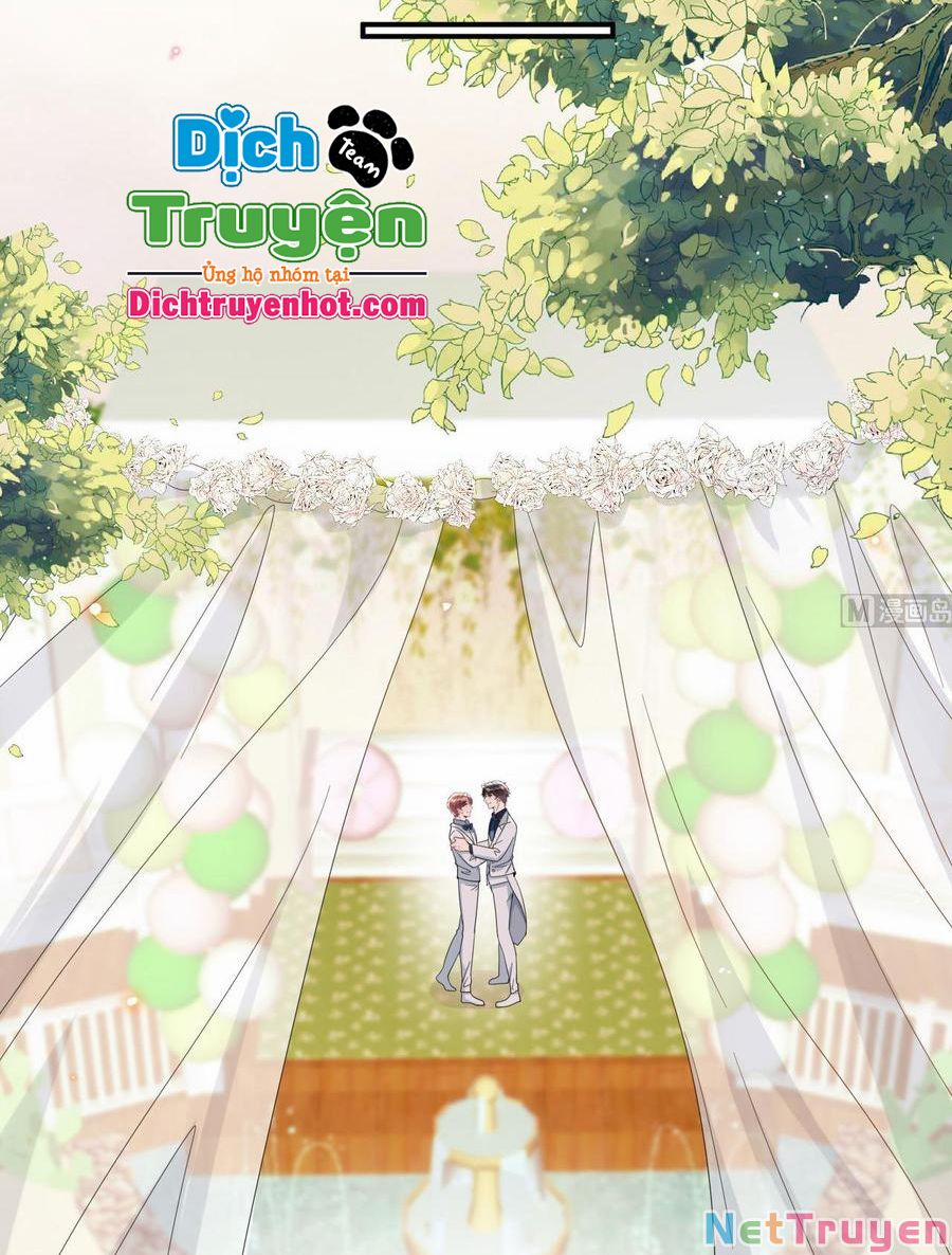 Ảnh Đế Làm Loạn Đòi Ly Hôn 96 trang 17