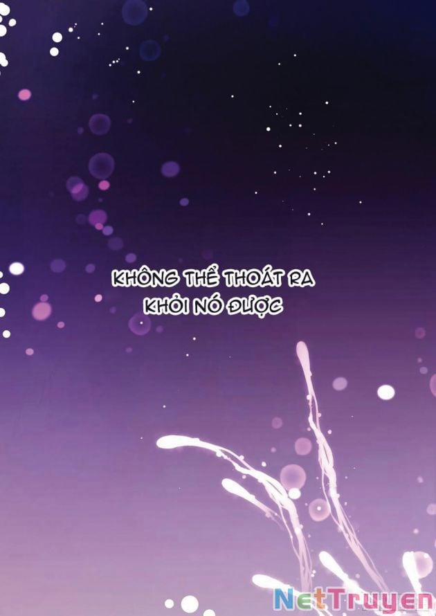 Ảnh Đế X Ảnh Đế 208 trang 17