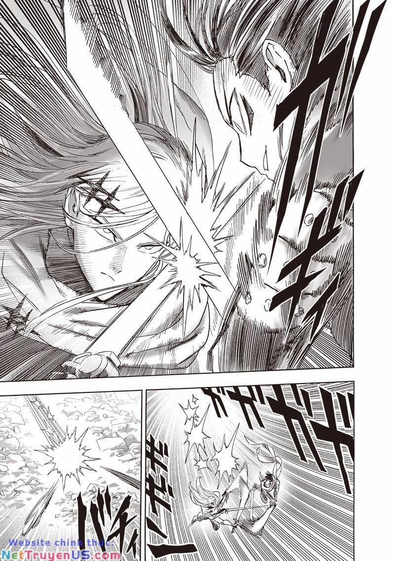 Anh Hùng Onepunch 244 trang 8
