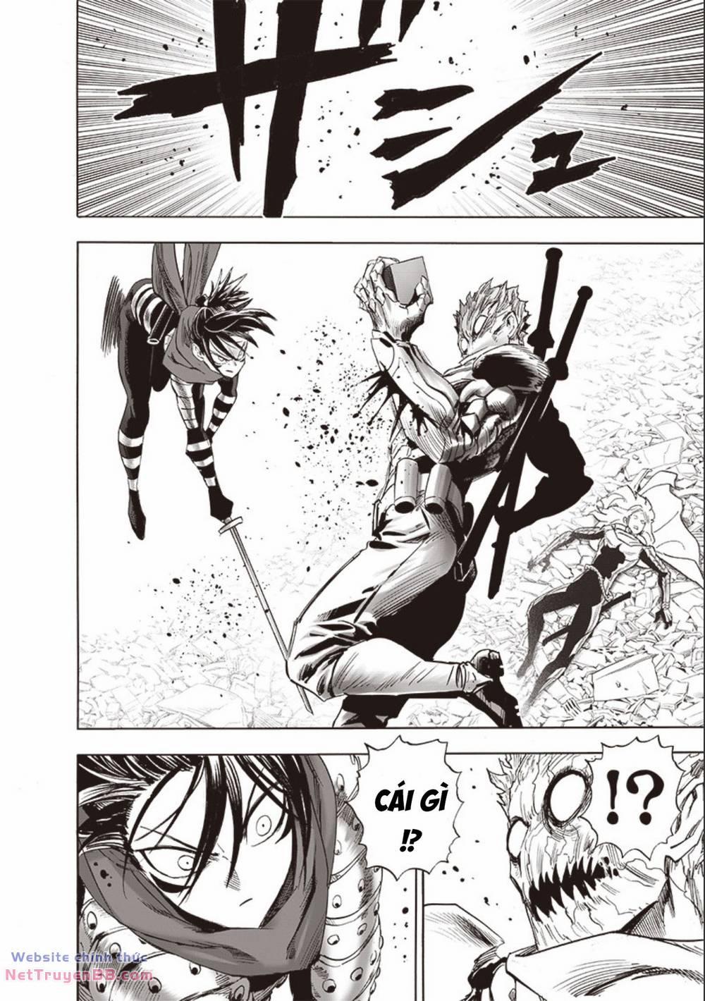 Anh Hùng Onepunch 249 trang 2