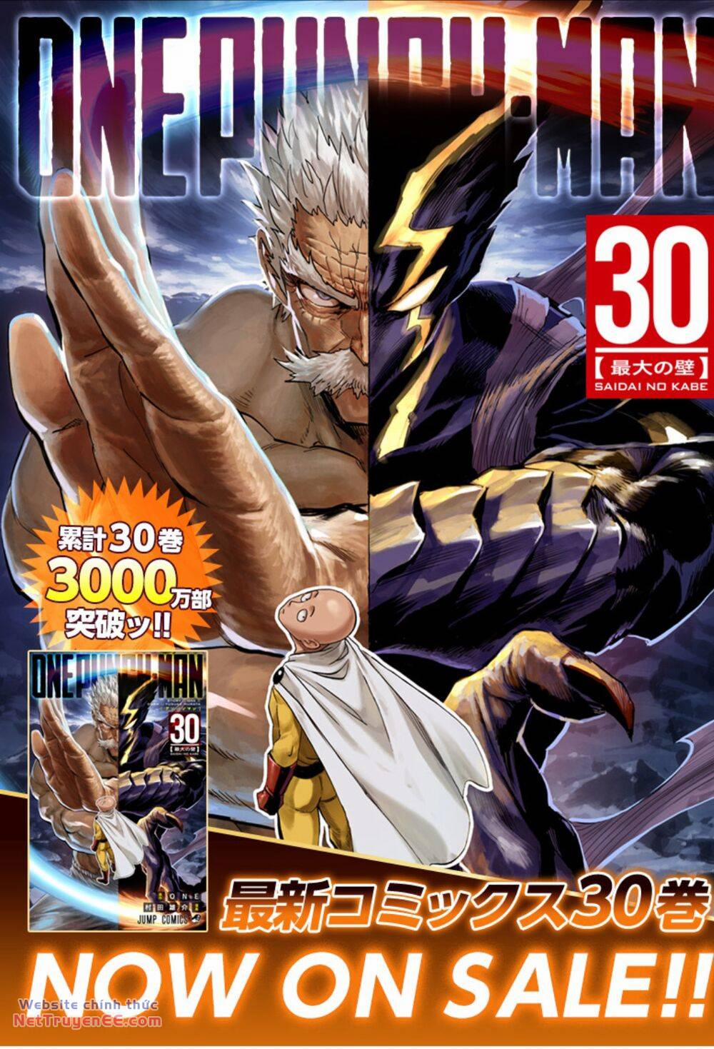 Anh Hùng Onepunch 252 trang 1