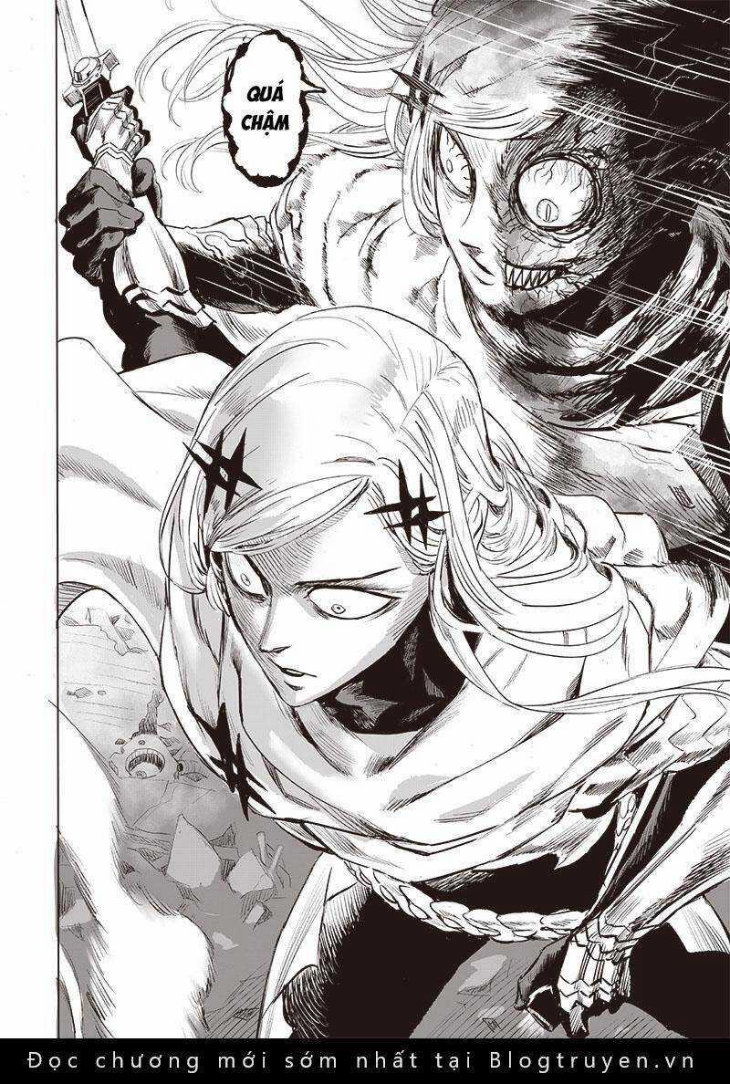 Anh Hùng Onepunch 255 trang 12