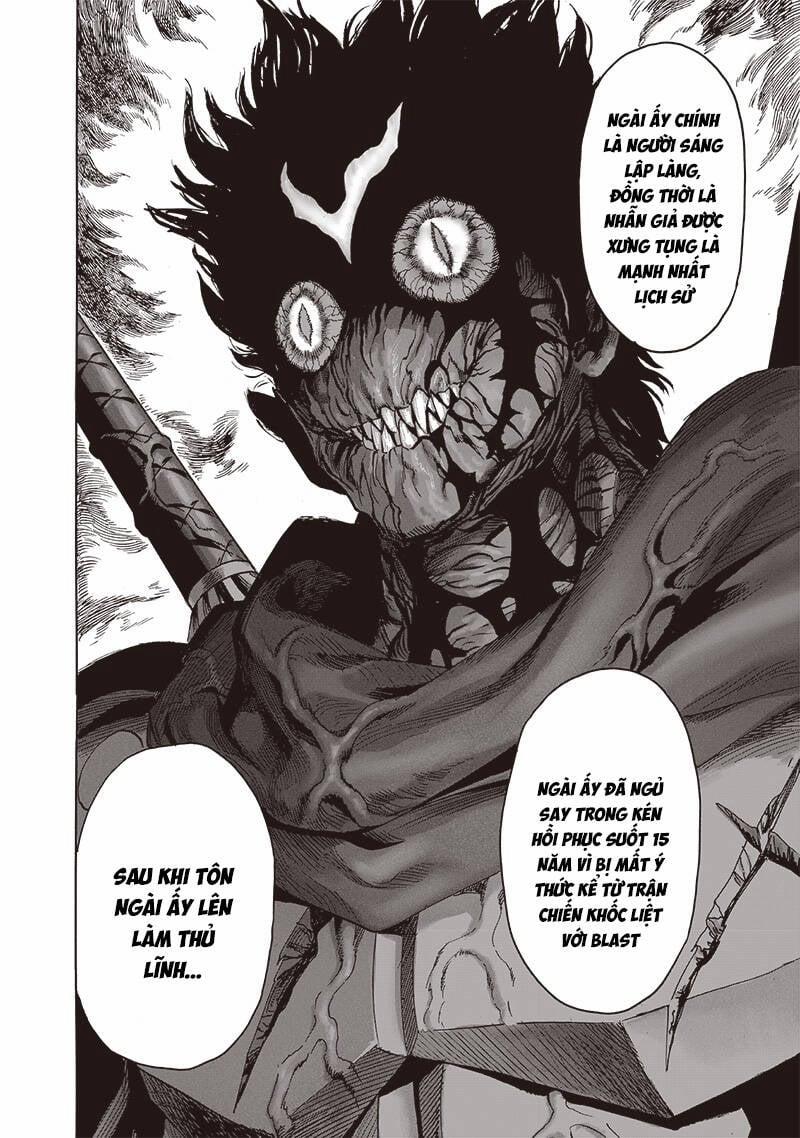 Anh Hùng Onepunch 267 trang 17