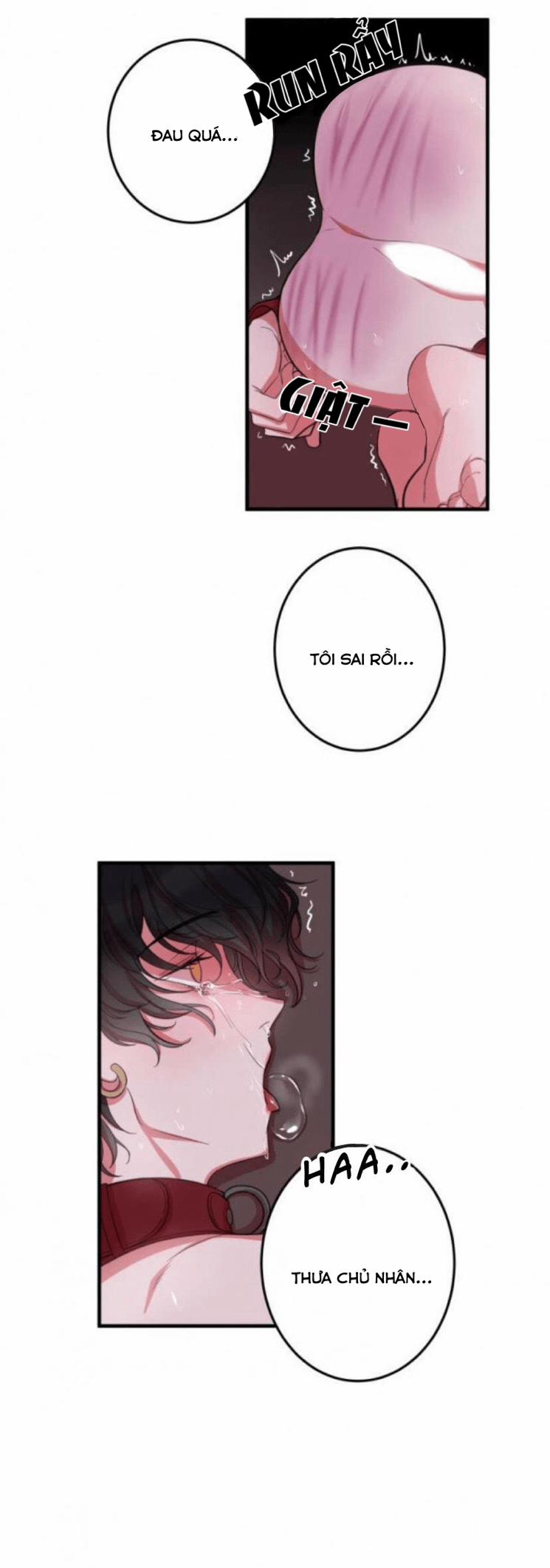 Anh người yêu có sở thích sex đặc biệt 4 trang 11