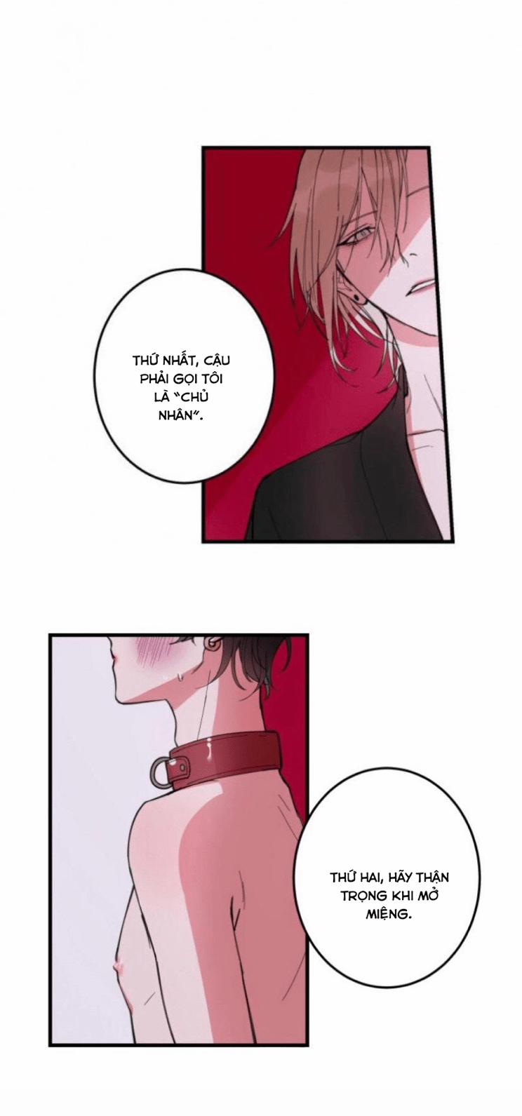 Anh người yêu có sở thích sex đặc biệt 4 trang 3