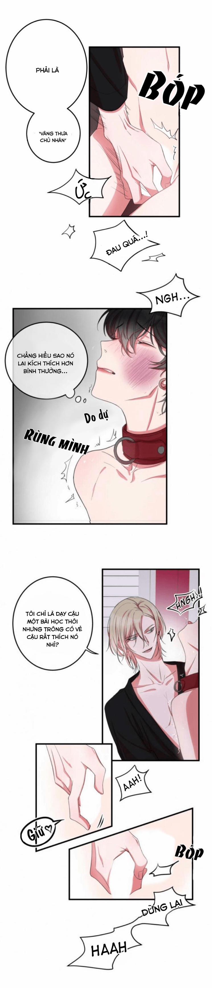 Anh người yêu có sở thích sex đặc biệt 4 trang 5